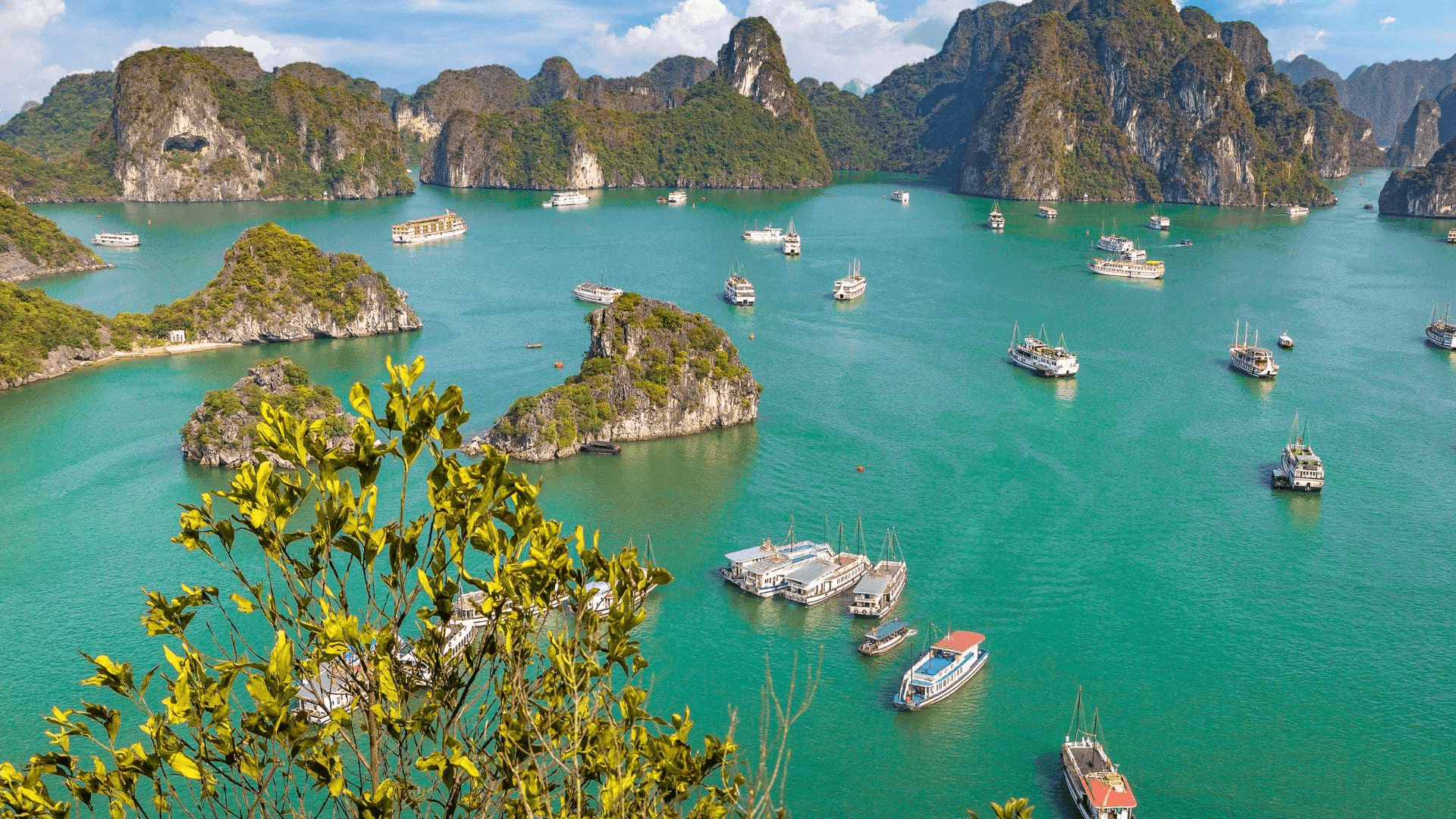 Cover of Ha Long Bay
