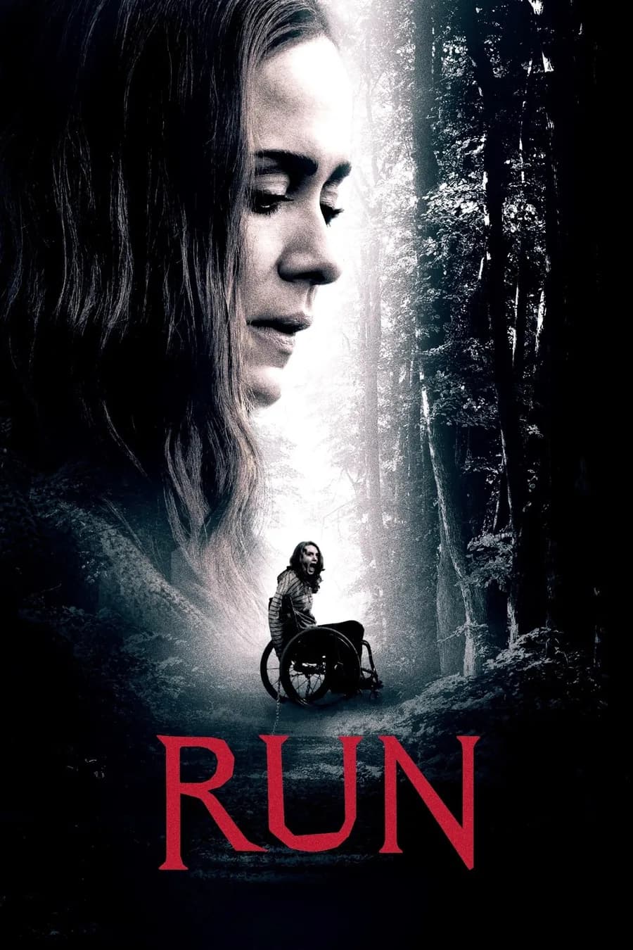 Cover of RUN